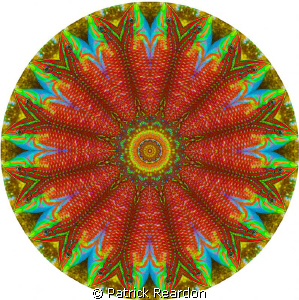 Psychadelic kaleidoscopic image.  We put the psychadelic ... by Patrick Reardon 